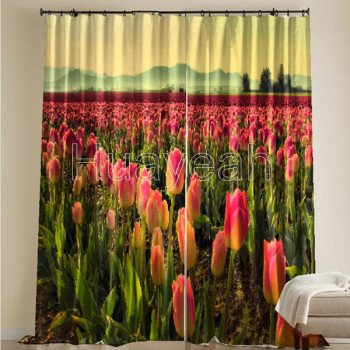 window curtain 3d